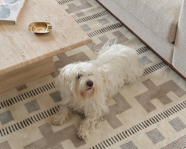 My Guide to Pet-Friendly + Kid-Friendly Rugs - J. Reiko Design + Co